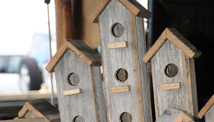 Birdhouses - Bird's the Word